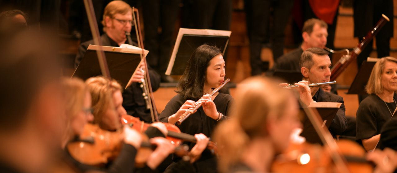 The Orchestra Bach Musica NZ